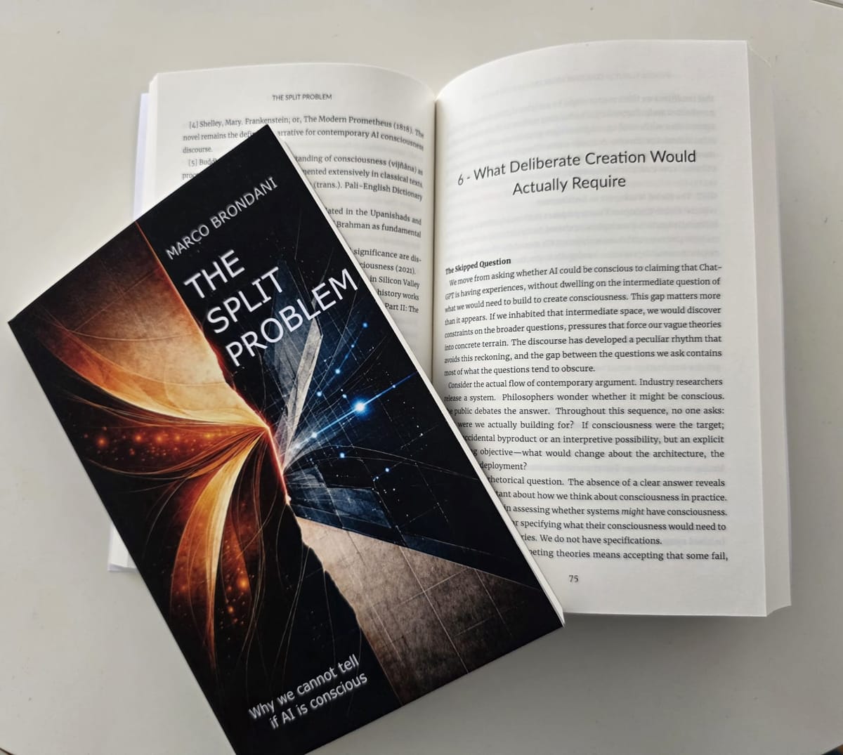 The Split Problem - Book